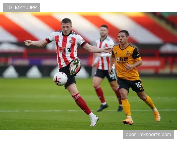 康纳·查普林闪耀英超，关键表现助球队斩获重要胜利