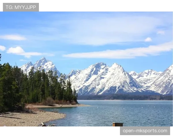 布莱顿美洲路新赛季启航,雄心勃勃剑指佳绩 布莱顿美洲路新赛季启航,雄心勃勃剑指佳绩