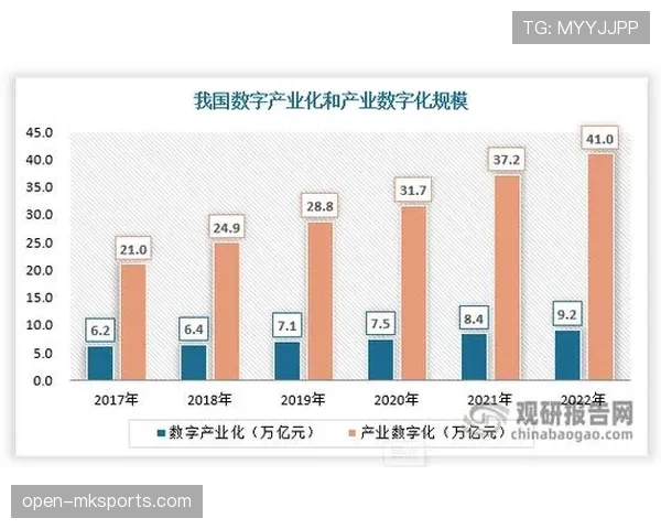 恩德里克：从潜力股到未来核心的发展路径解析
